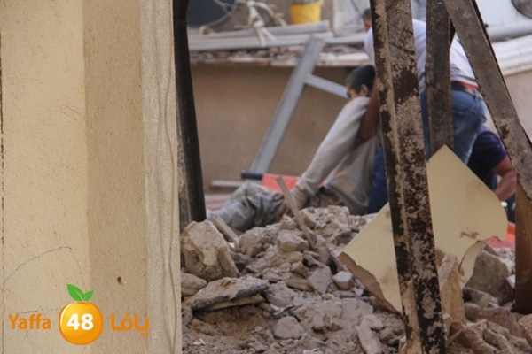 mabna inu910y (5).JPG